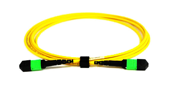 24 Polarity a MTP Patch cables